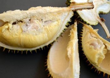 Different varieties of durian served during the durian buffet.