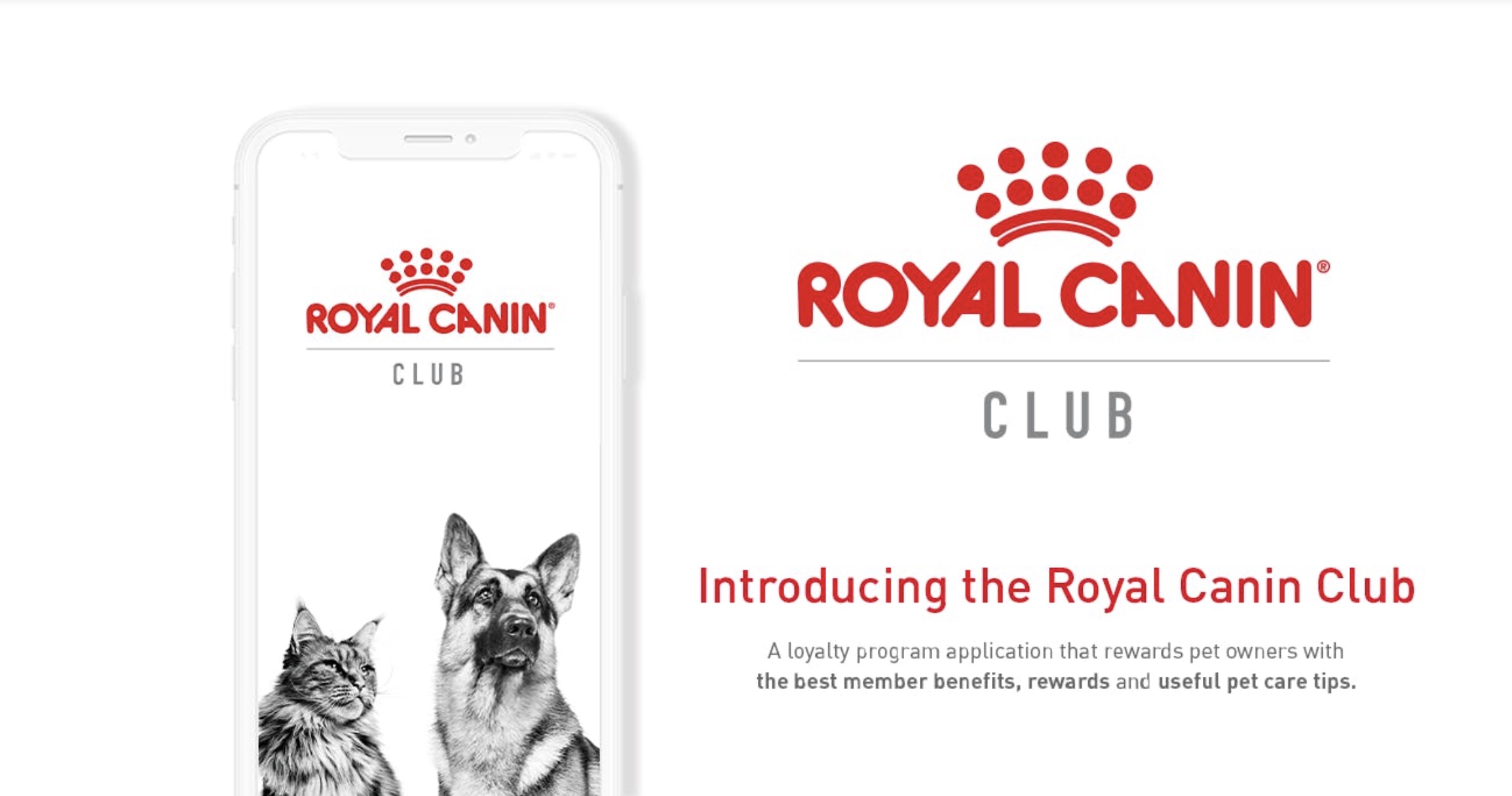 Download the Royal Canin Club app to receive free pet food home delivered  to you - SoyaCincau