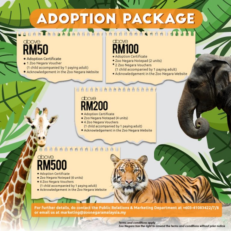 In a bid to stay afloat, Zoo Negara extends its animal adoption program