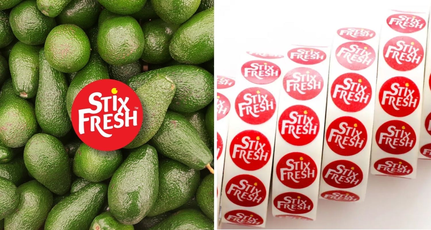 Fresh: What is It and How Does It Work?