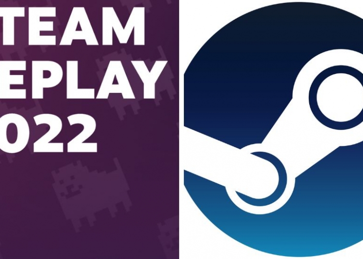 Steam releases its own 