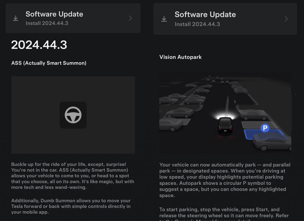 Tesla owners in Malaysia can finally use the Autopark feature